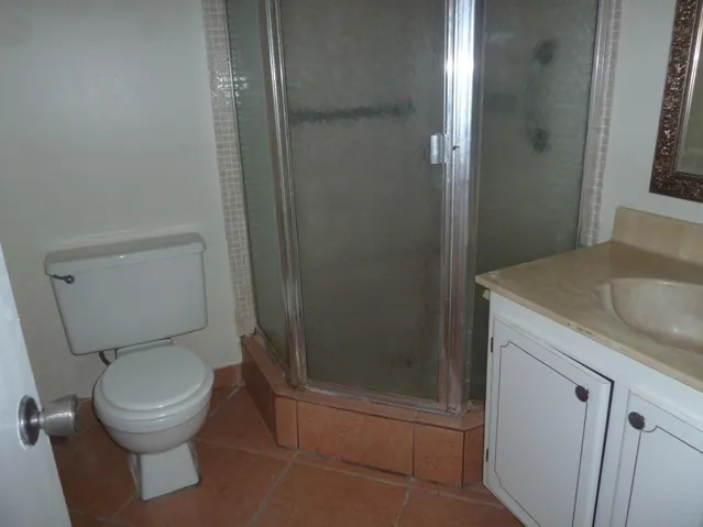 bath with shower