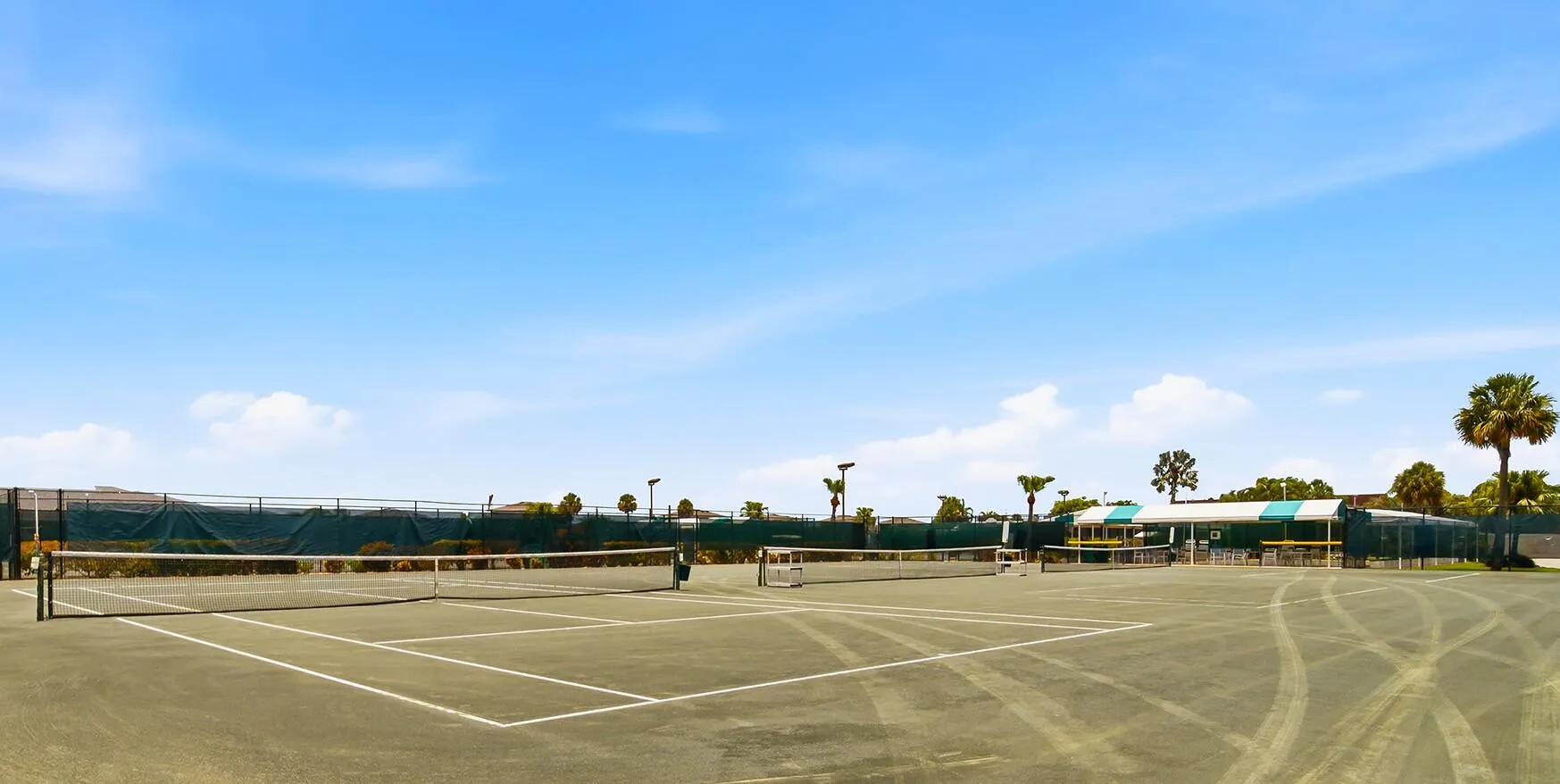 Tennis palm greens