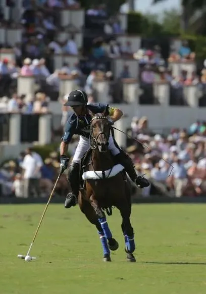 12230 WELLINGTON POLO CLUB