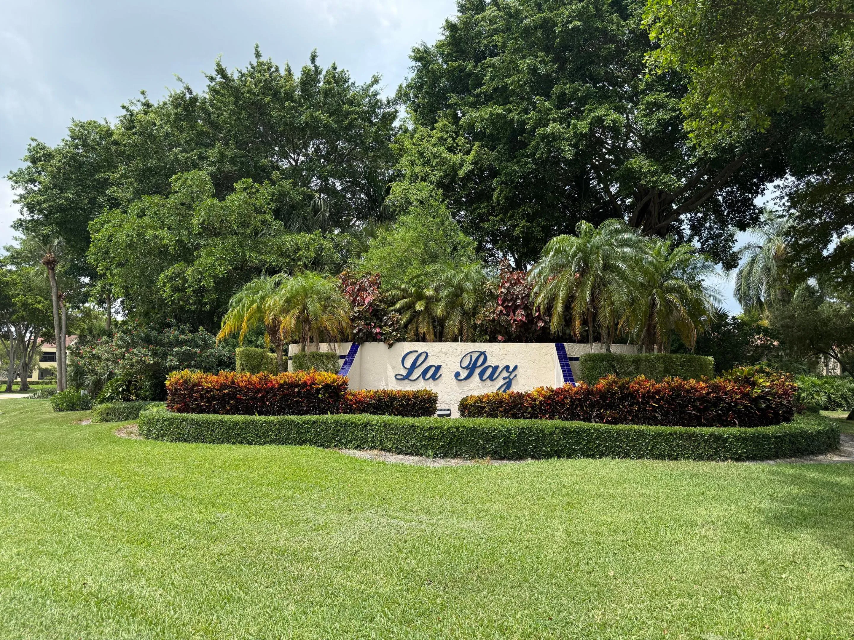 IMG_5526