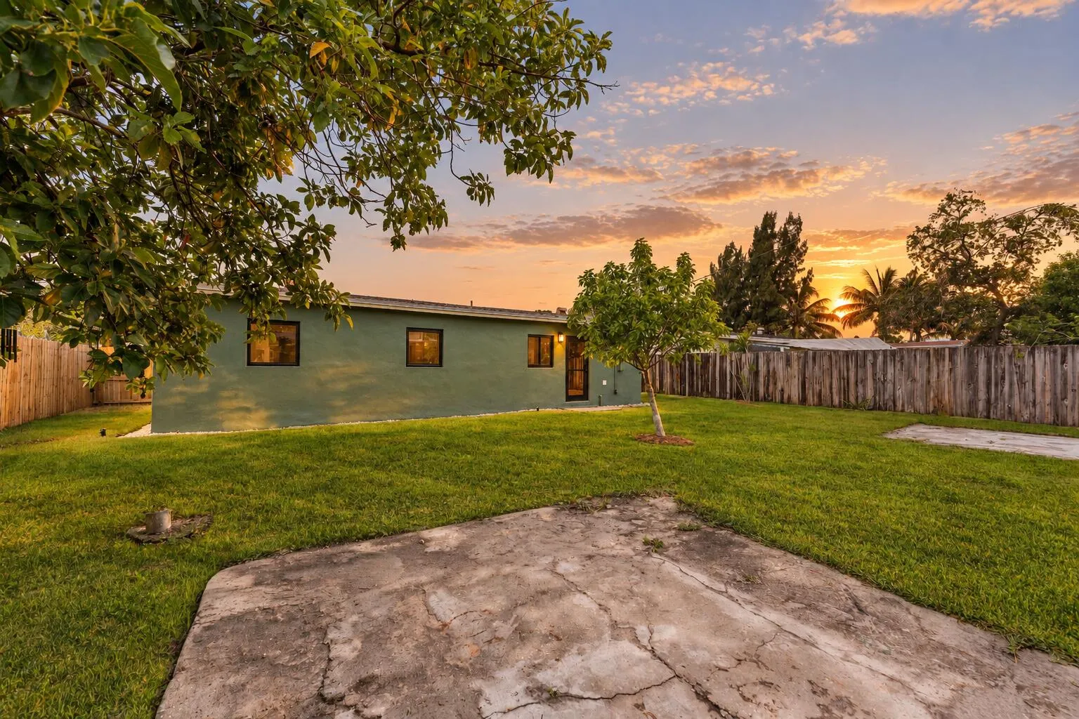 Backyard D