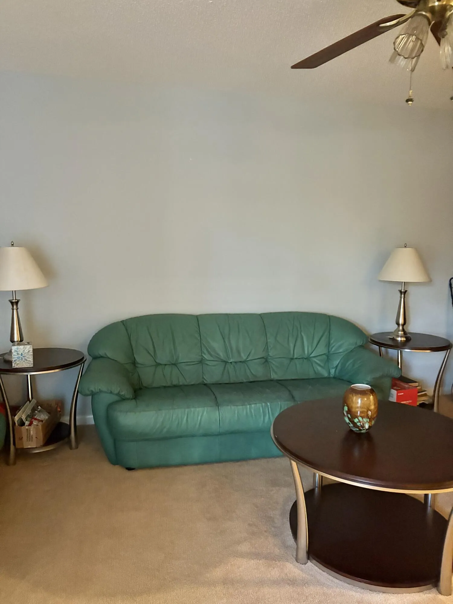 carpet in living room