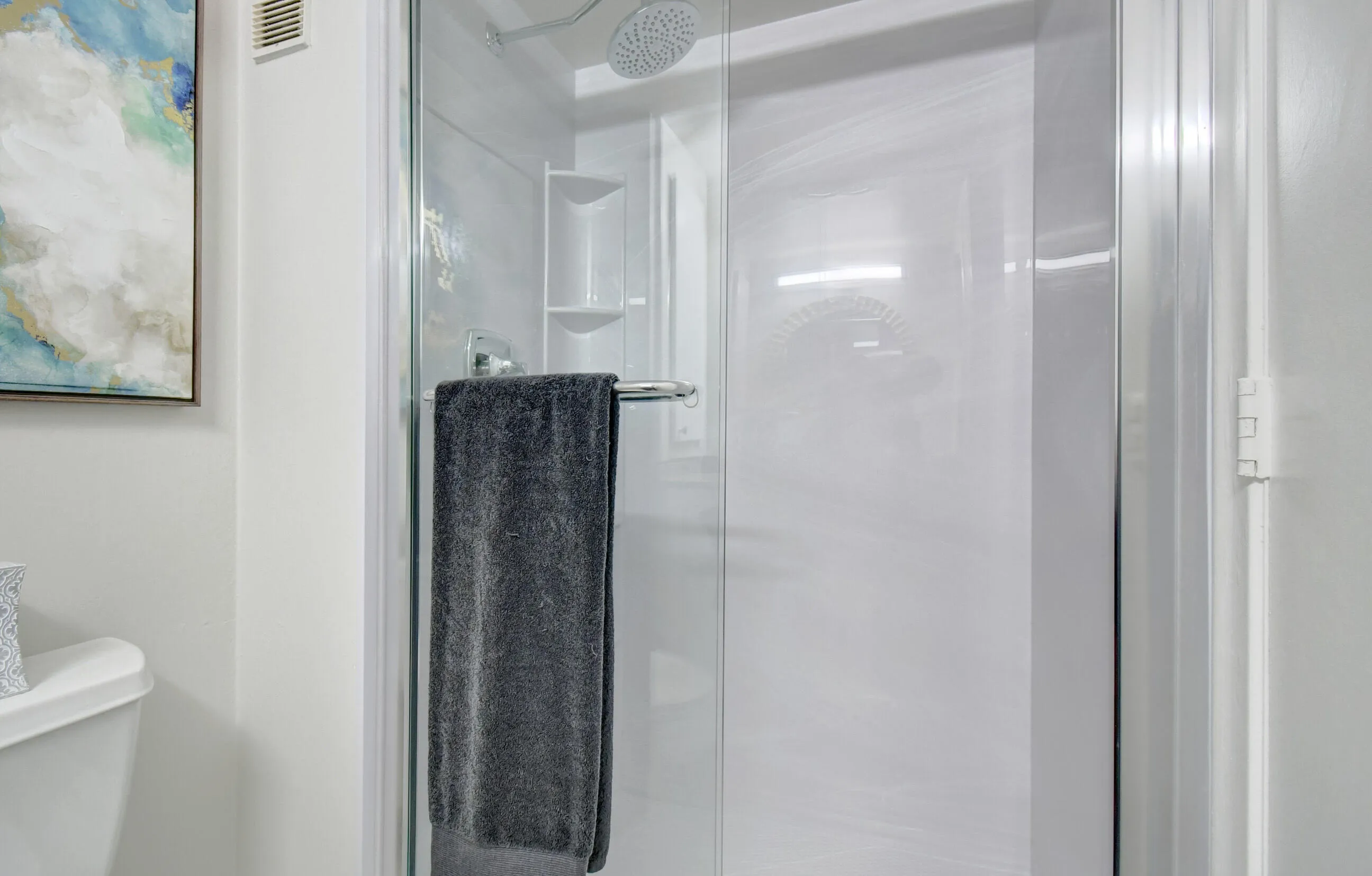 Guest Bath Walk in Shower