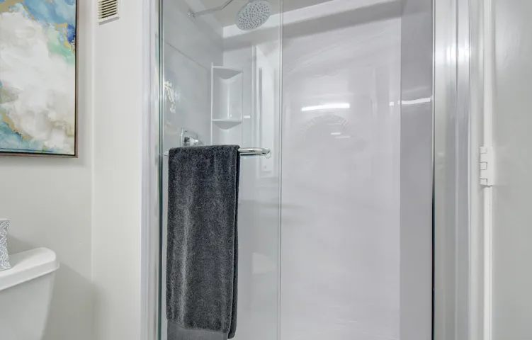 Guest Bath Walk in Shower