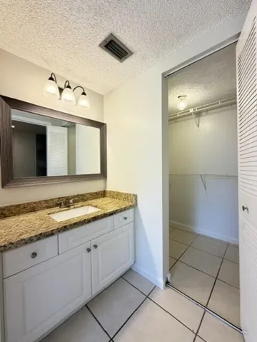PRIMARY BATHROOM VANITY AND WALK IN CLOSET
