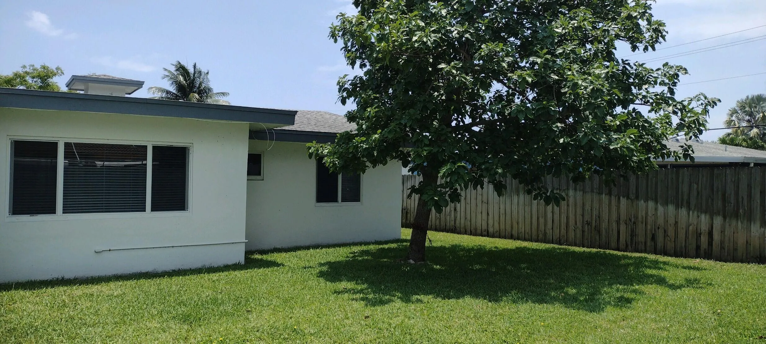 Rear Yard