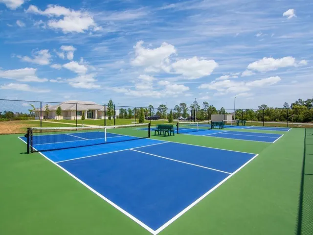 Tennis and pickleball