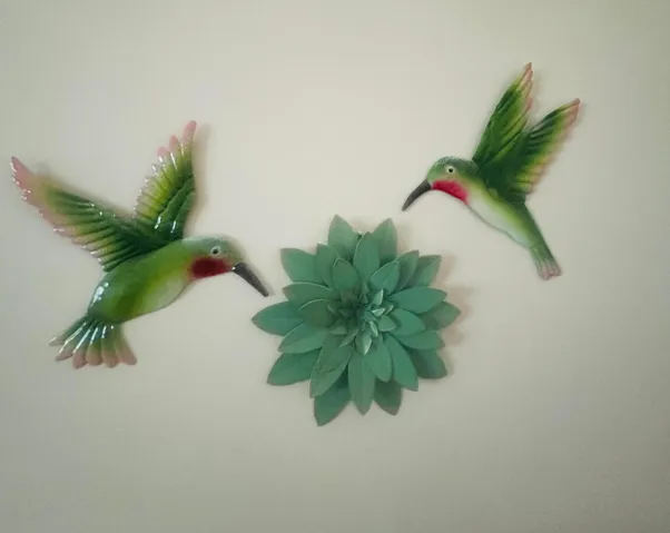 Humming Birds