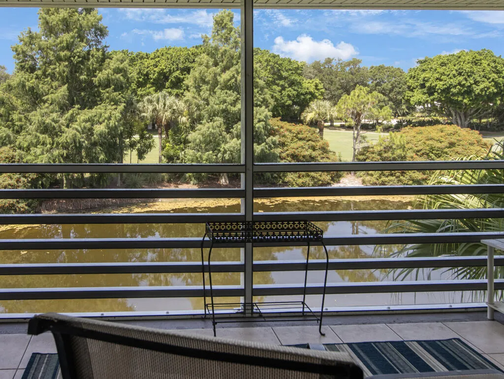 Patio view.