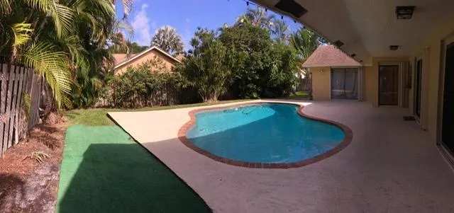 Pool and Backyard