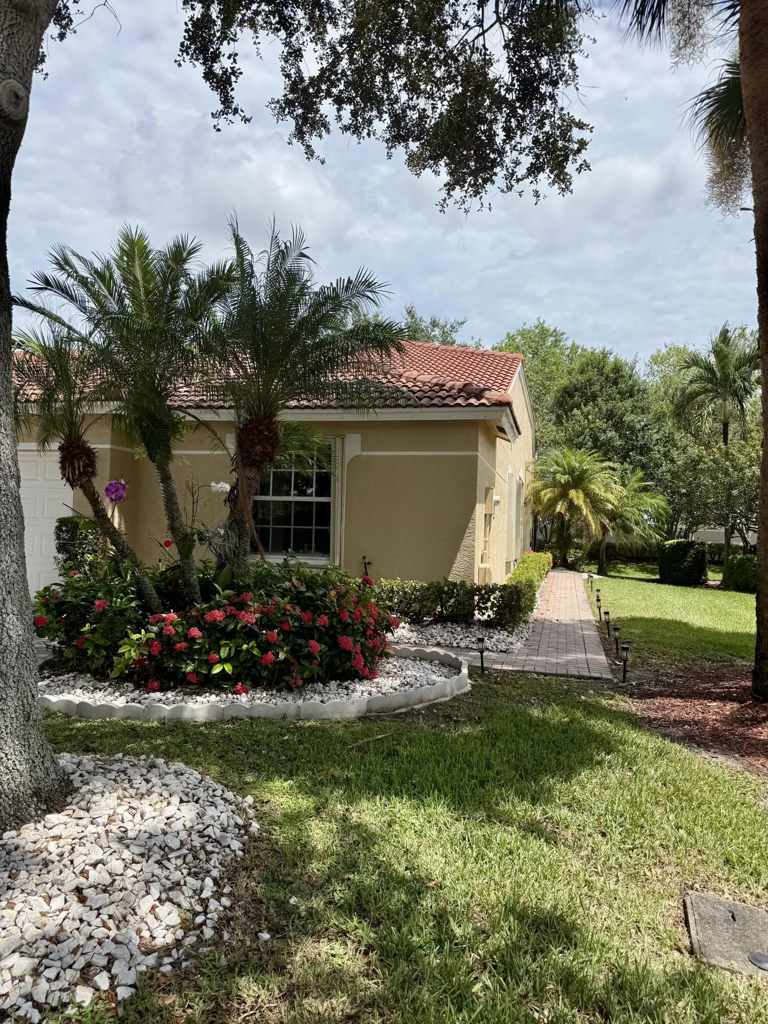 IMG_6989