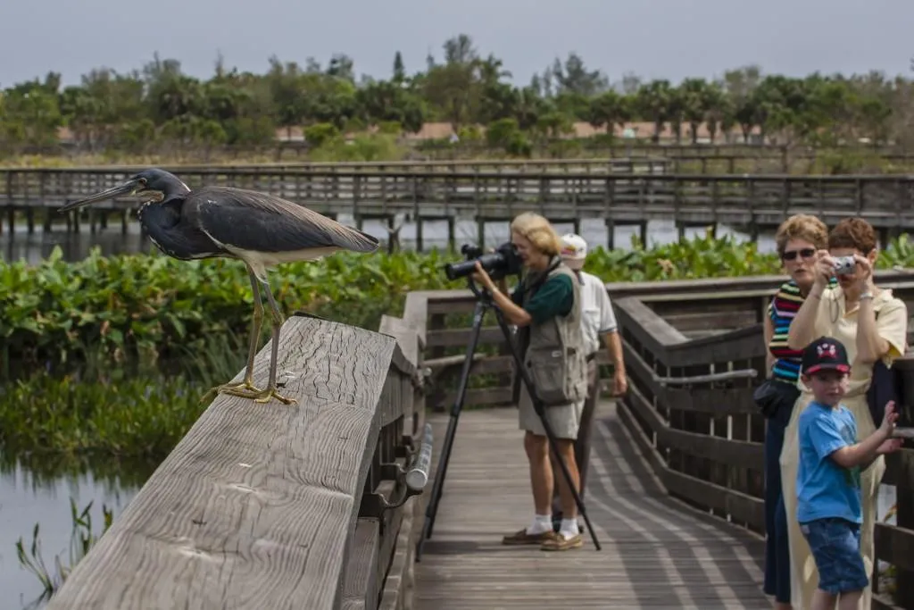 wakodahatchee wetlands nearby