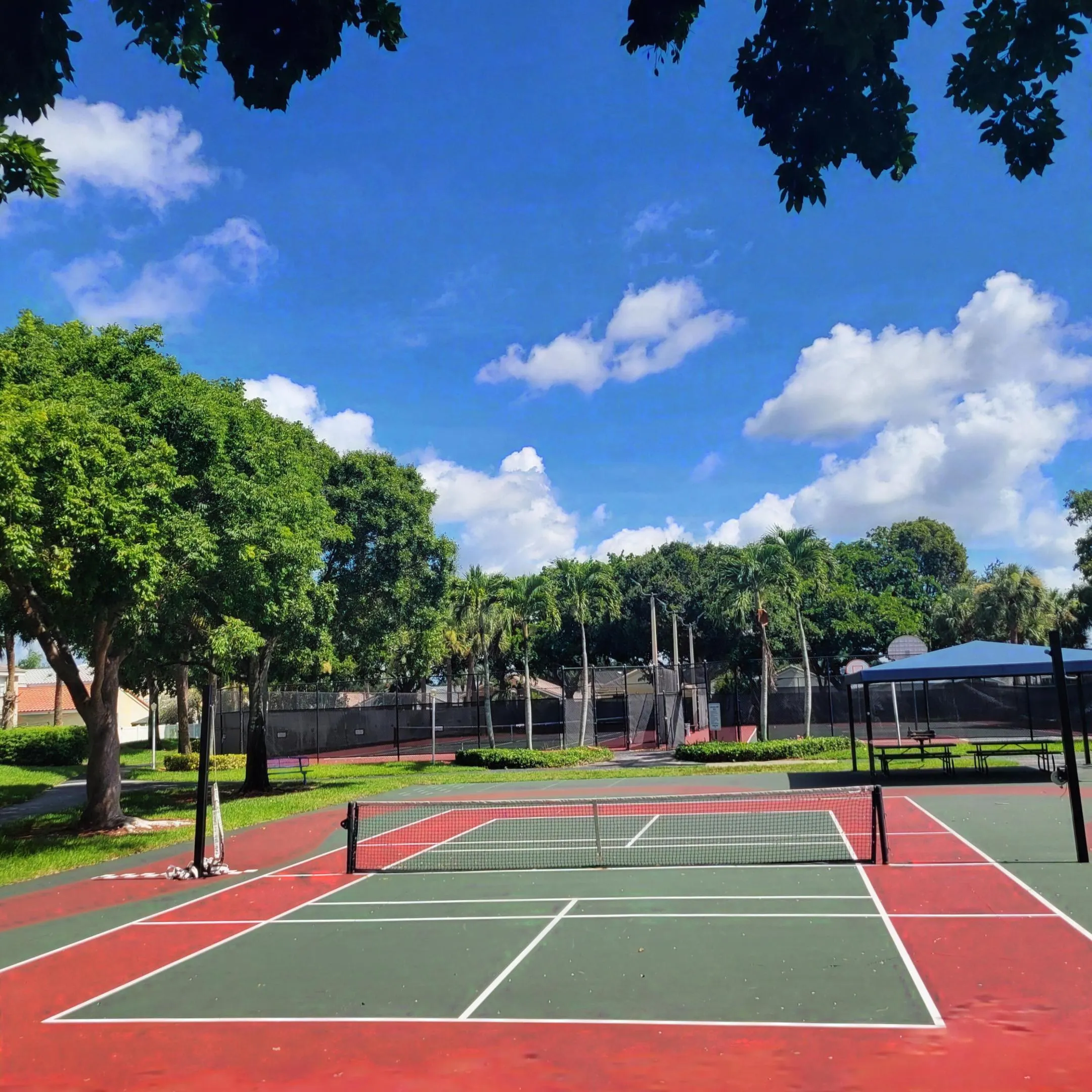 CLAY COURTS WITH DUAL NETS