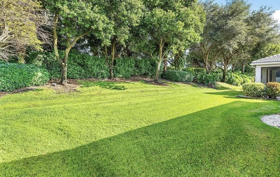 Yard