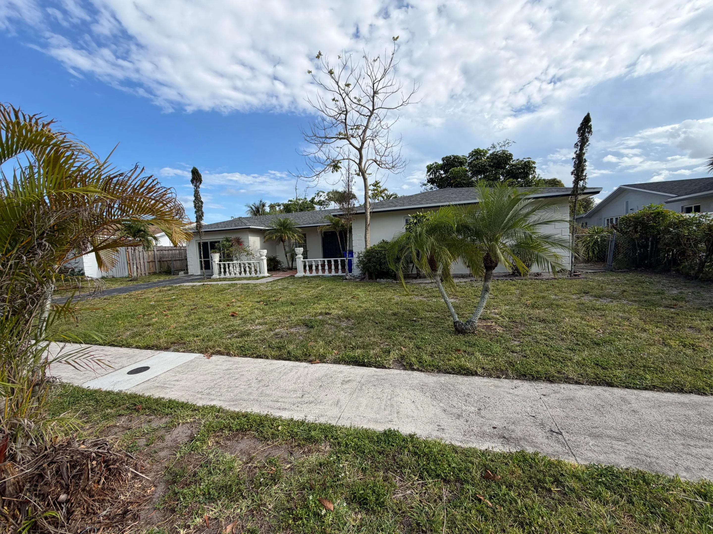IMG_5184