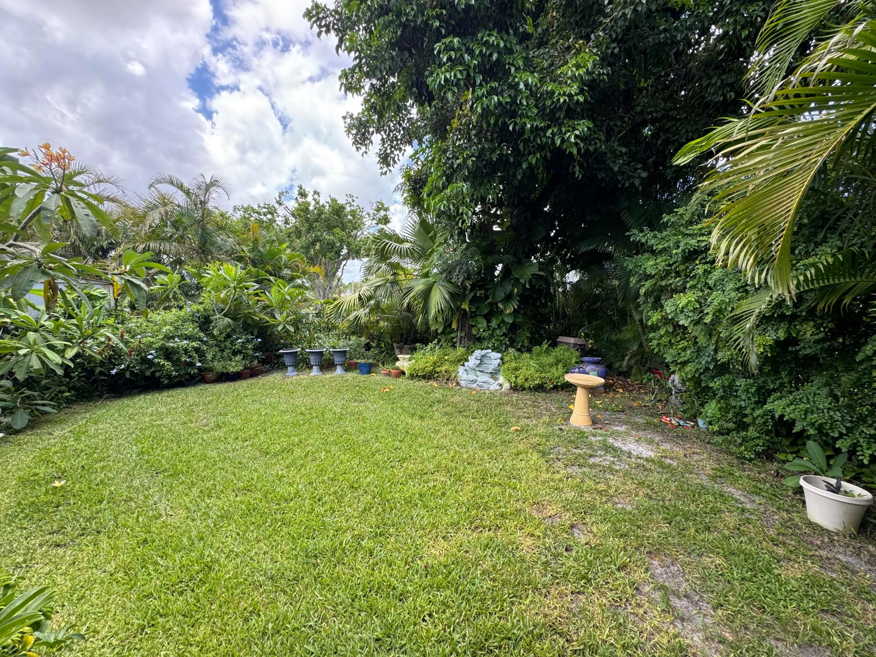 Yard