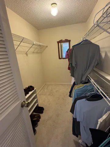 Main Br Closet