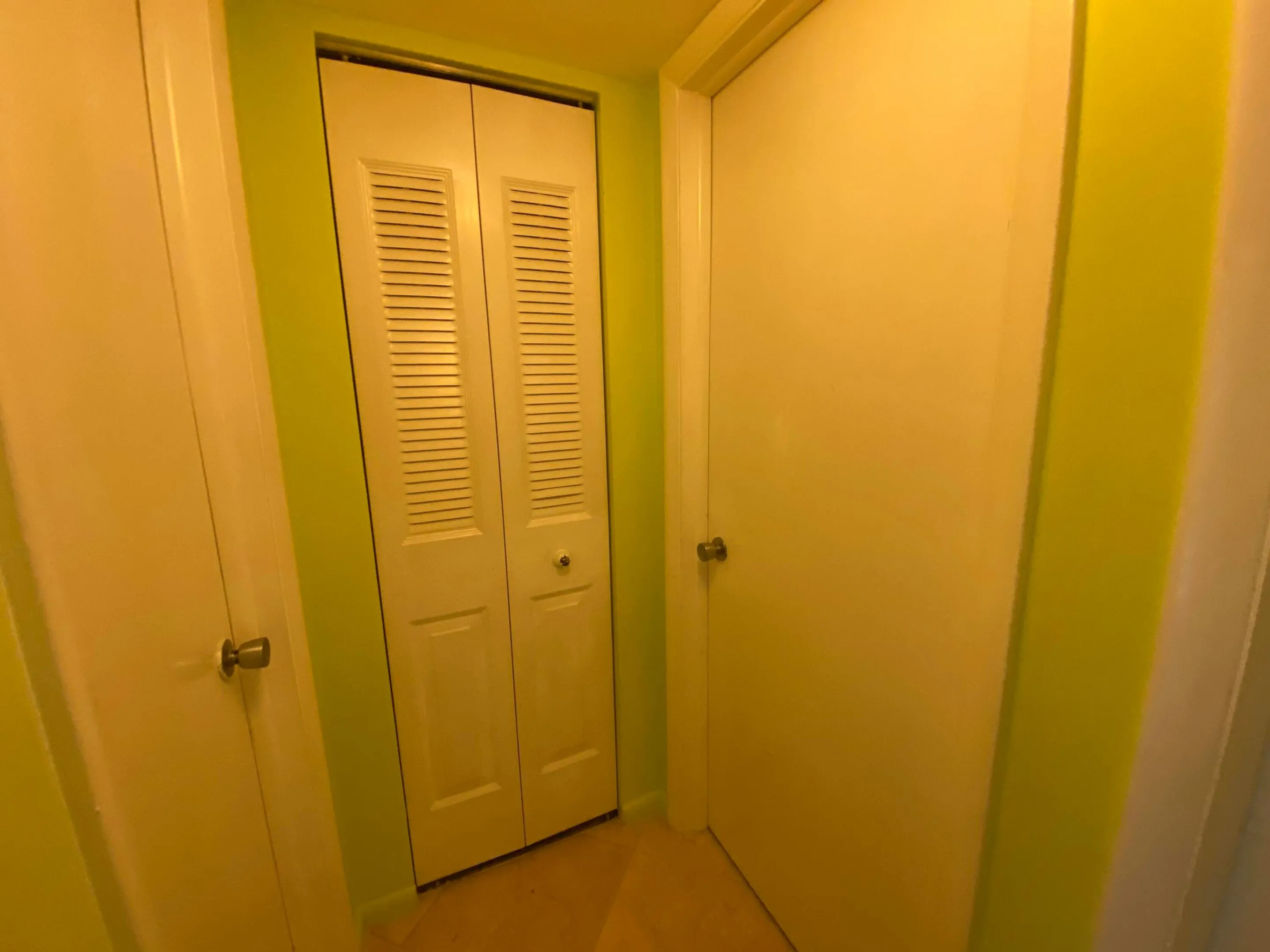 Hall Closet 1