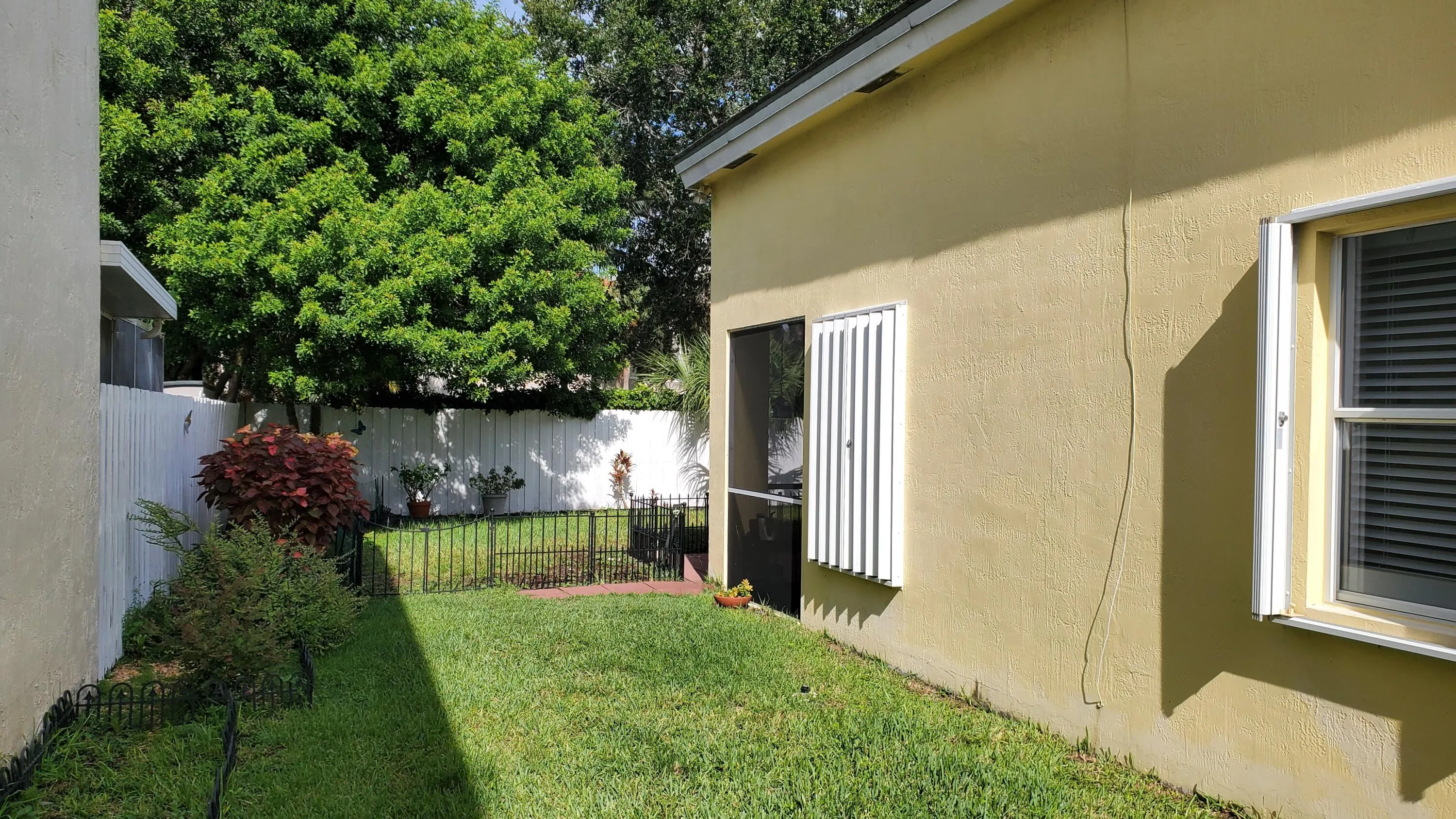 Side Yard (2)