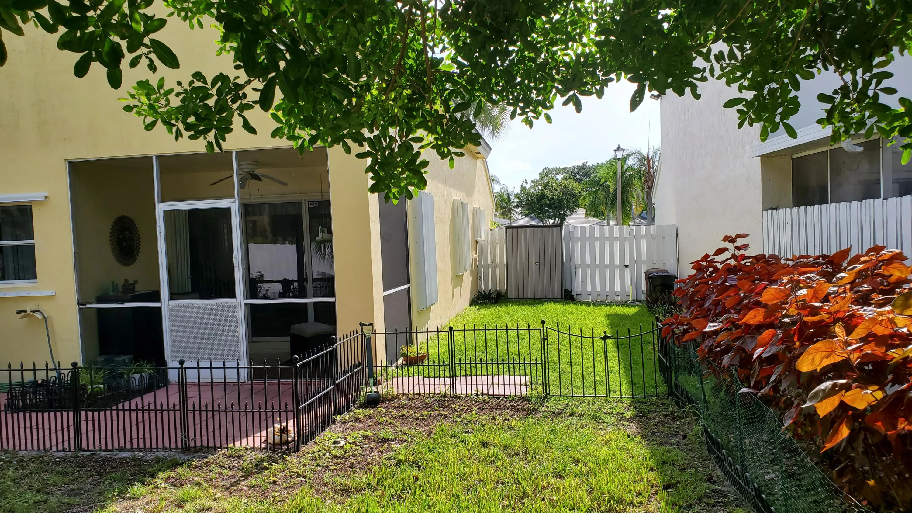 Side yard