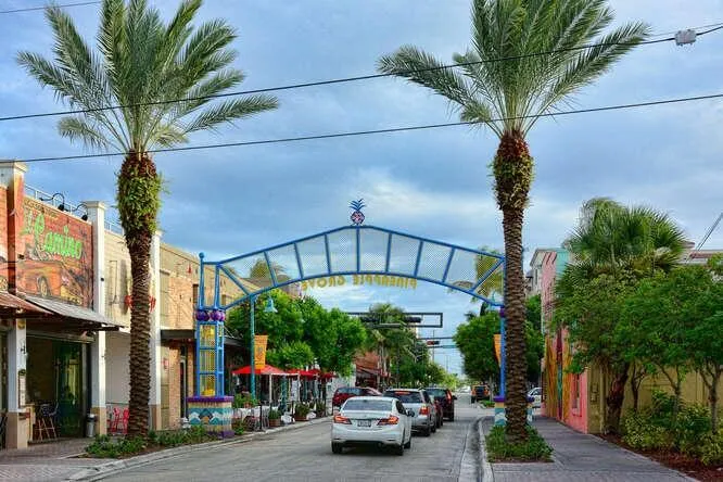 Pineapple Grove