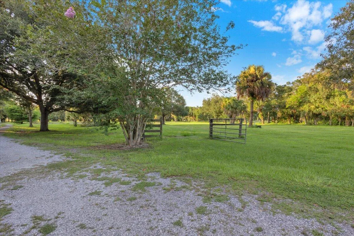 Property photo 95