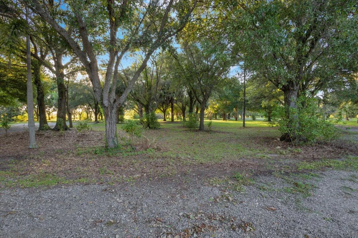 Property photo 89