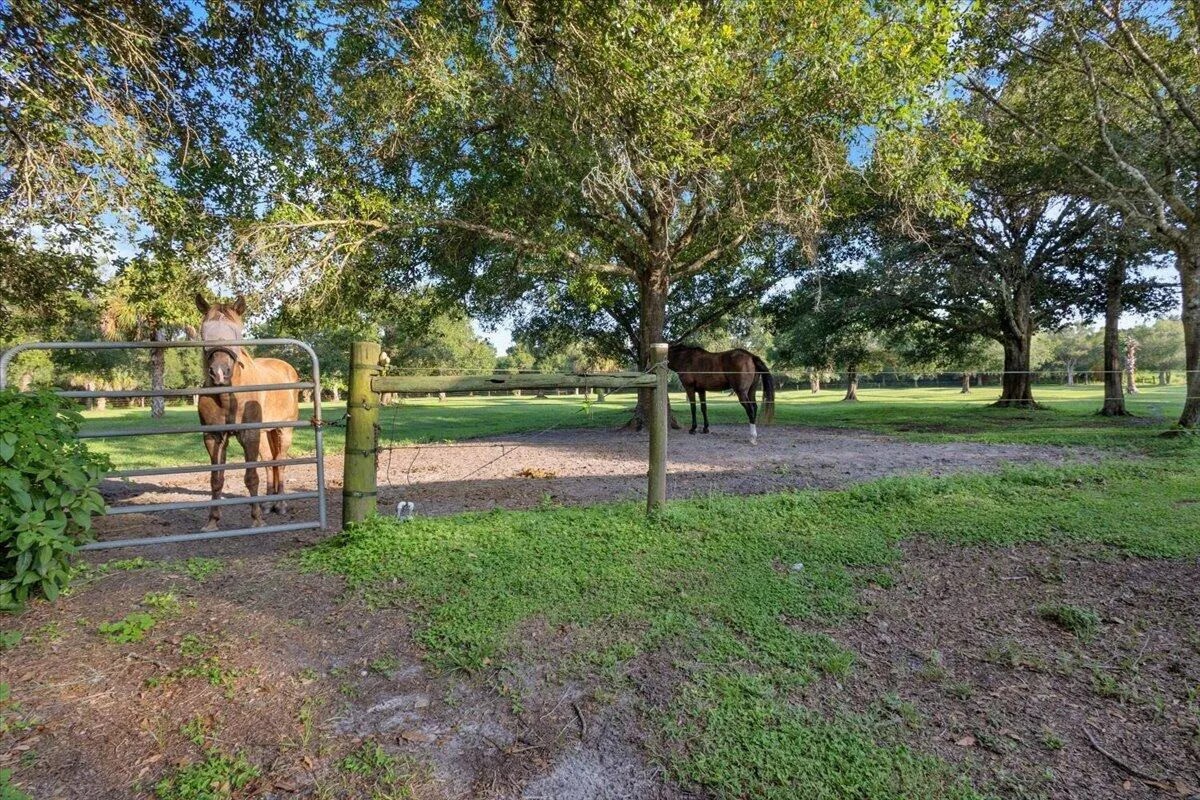 Property photo 71