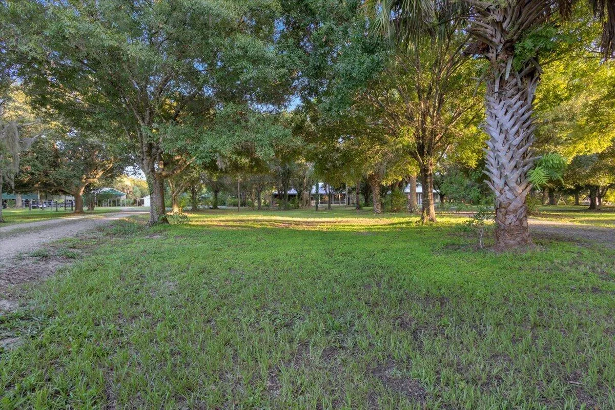 Property photo 90