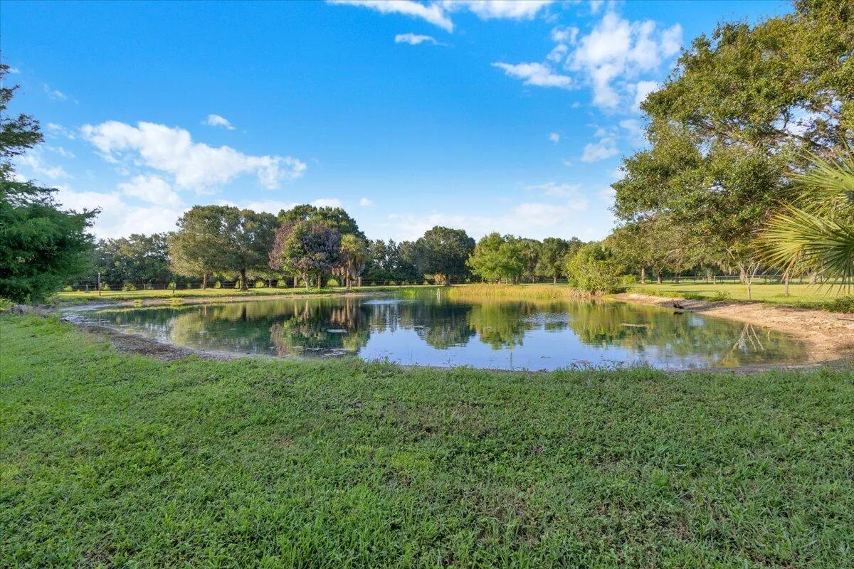 Property photo 47