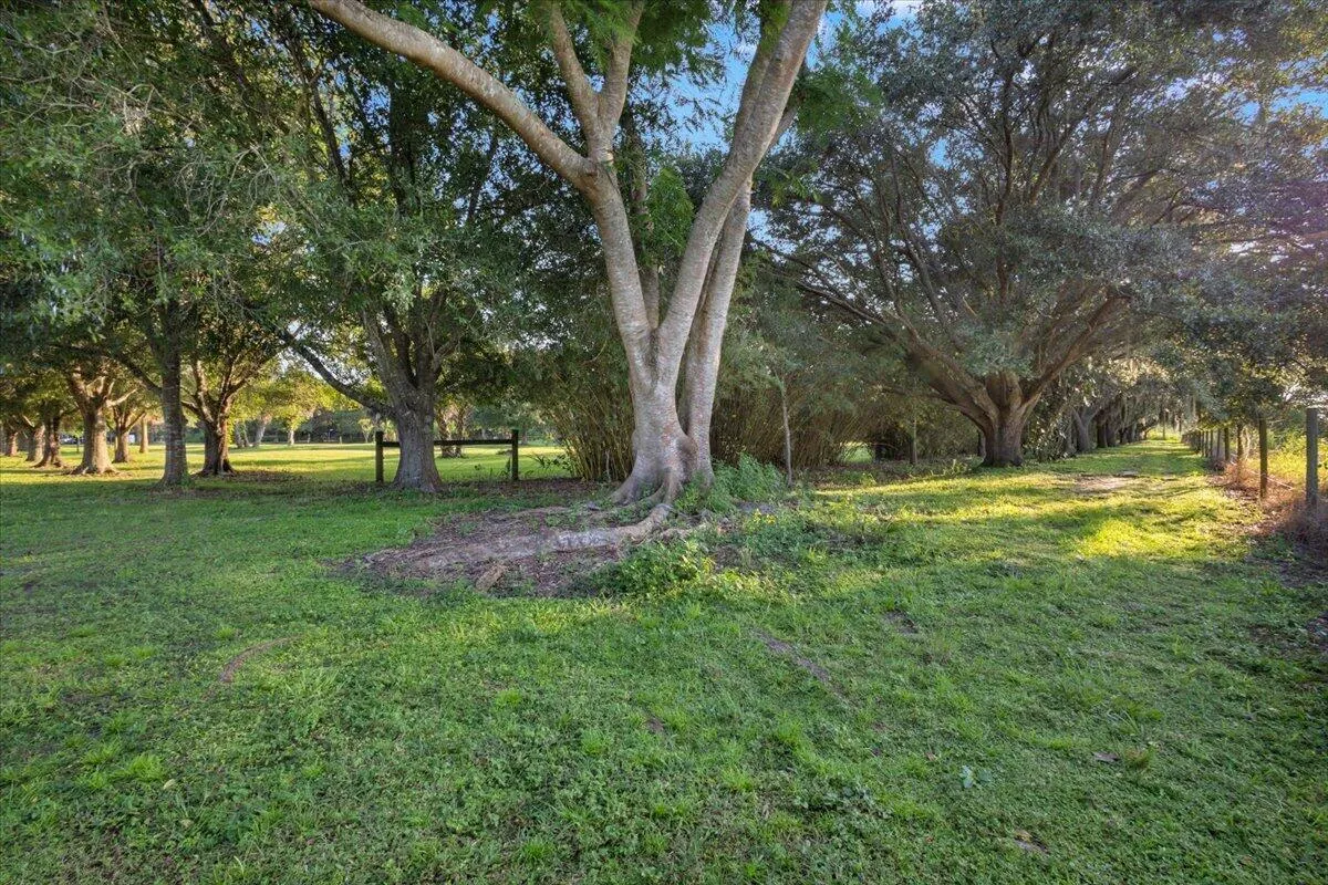 Property photo 85