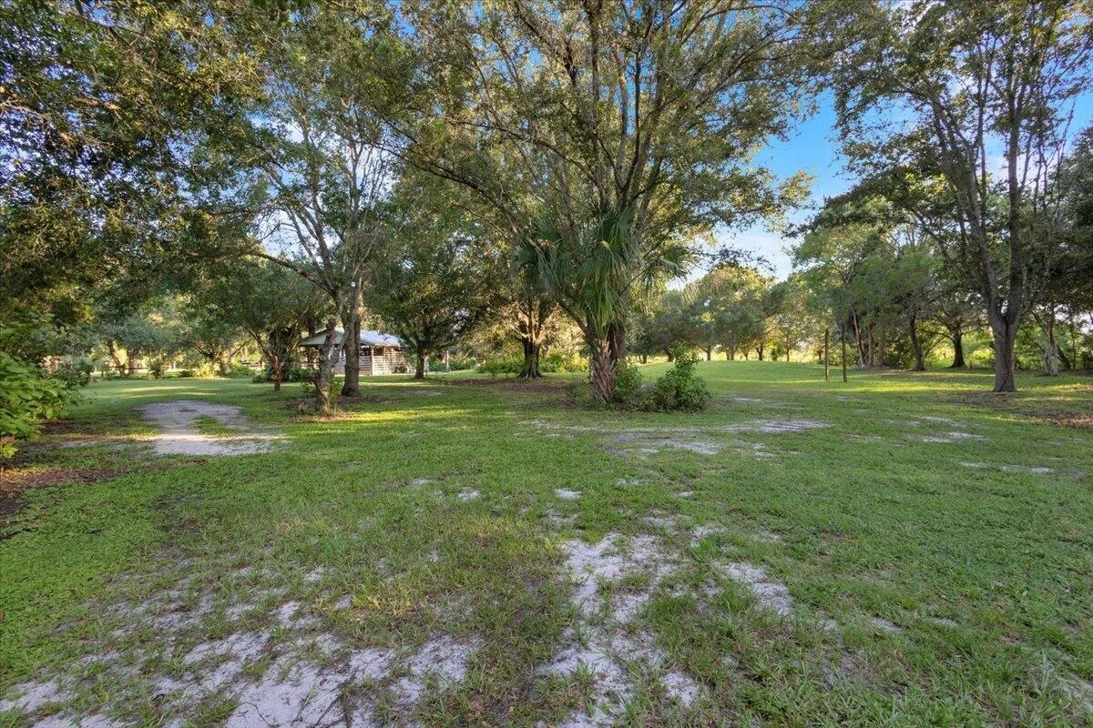 Property photo 61
