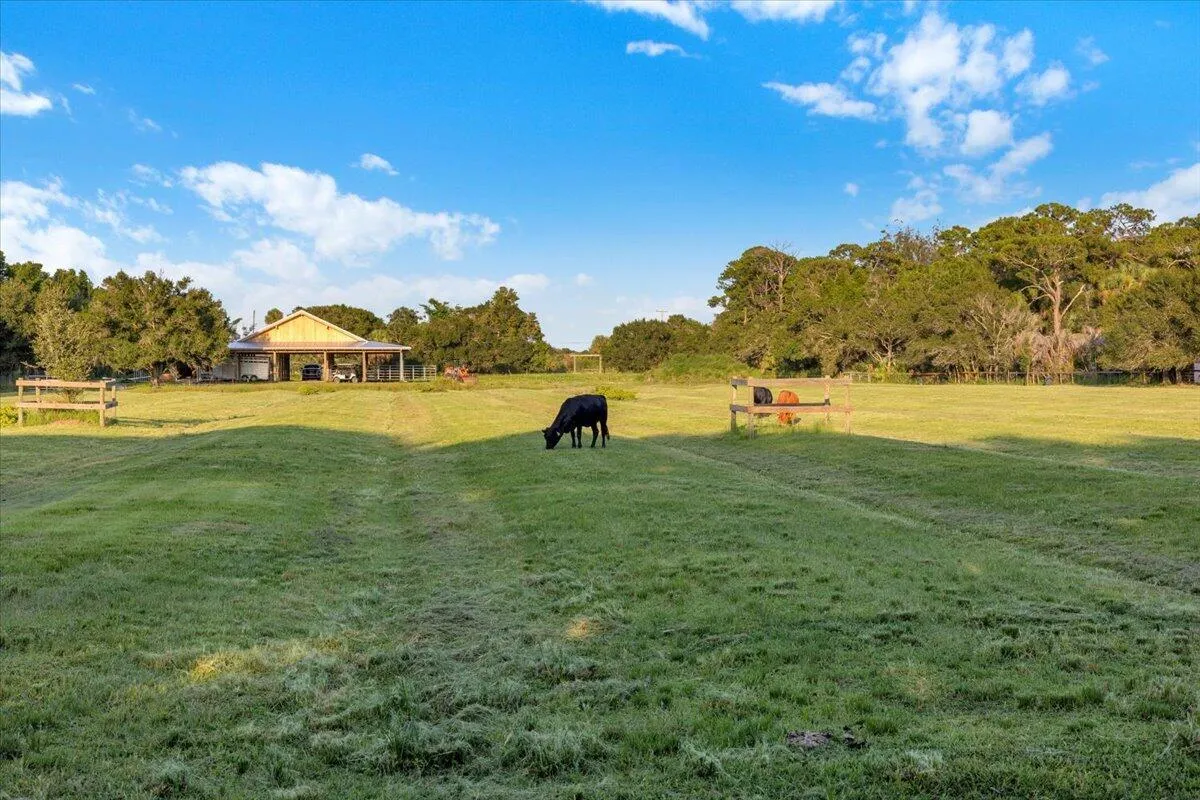 Property photo 86