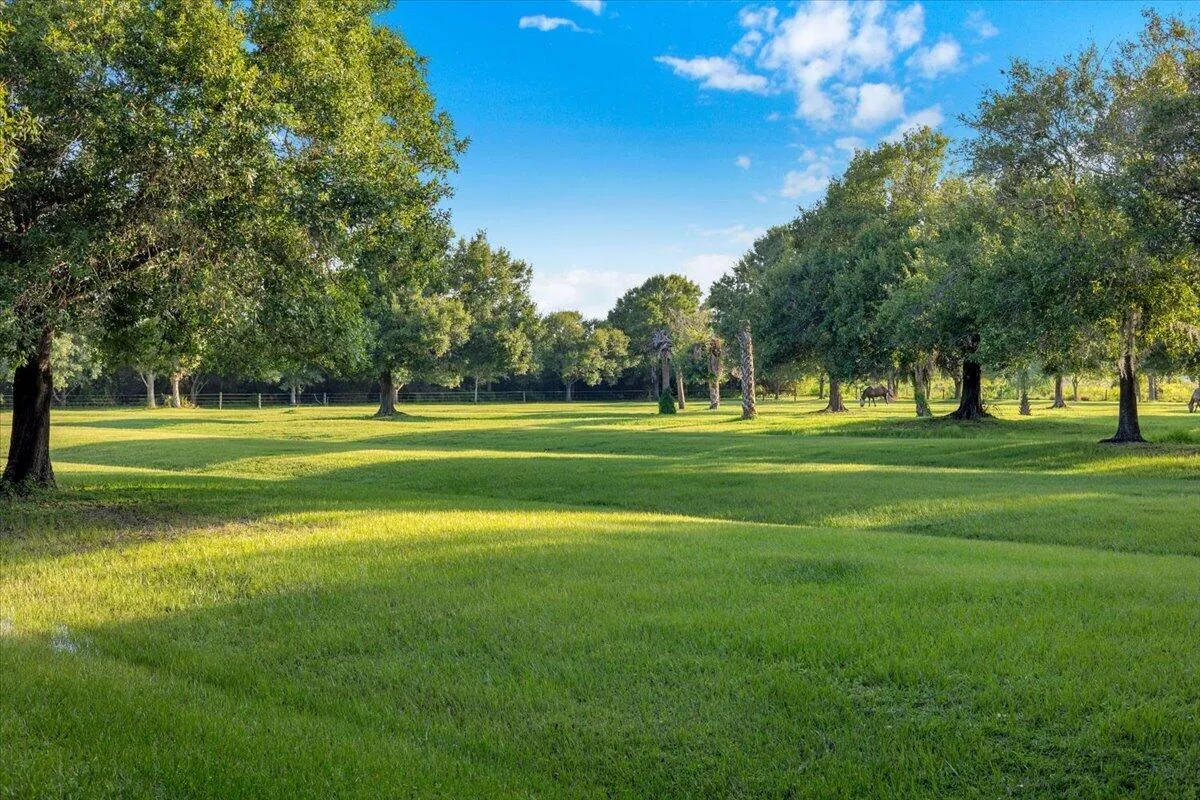 Property photo 75
