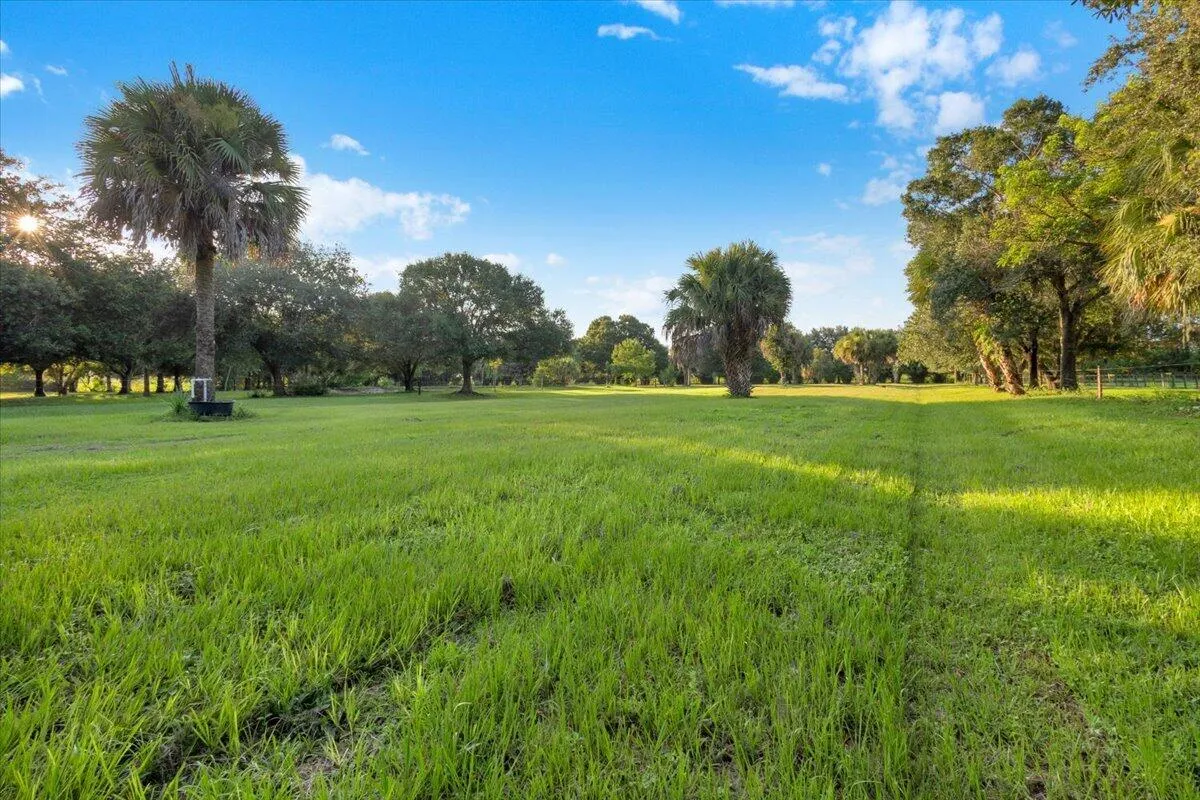 Property photo 88
