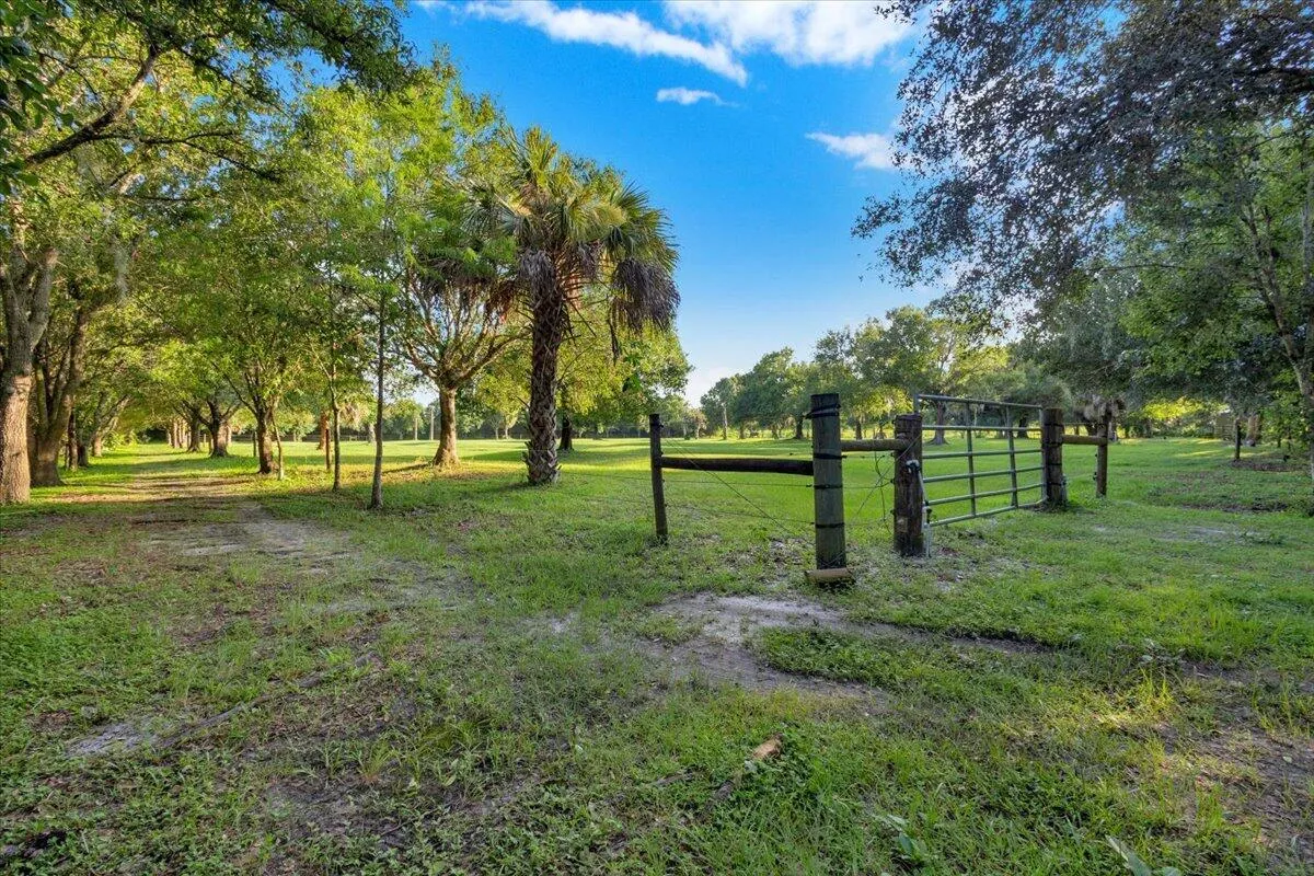Property photo 73