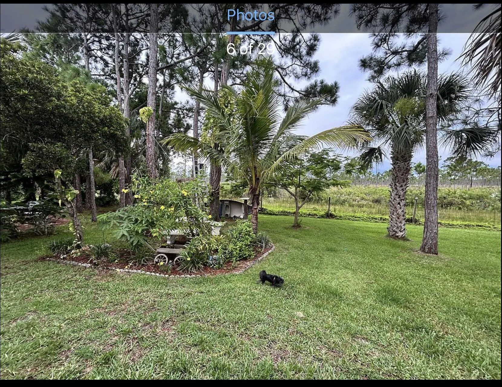 Property photo 38