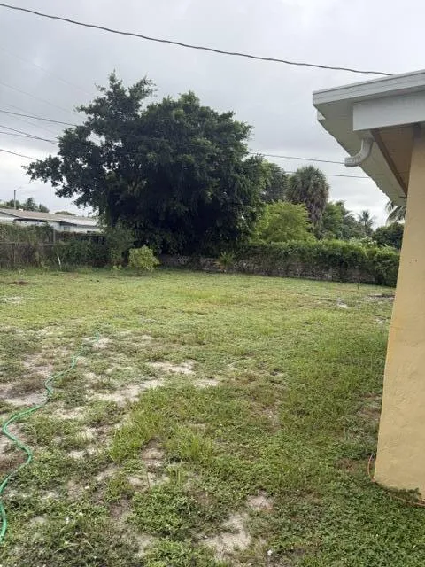 BACK YARD # 3