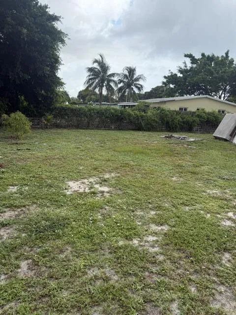 BACK YARD # 4