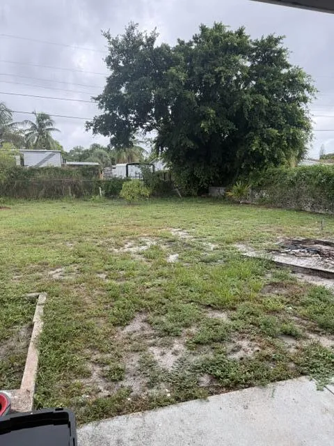 BACK YARD # 1