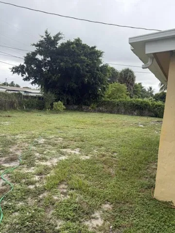 BACK YARD # 3