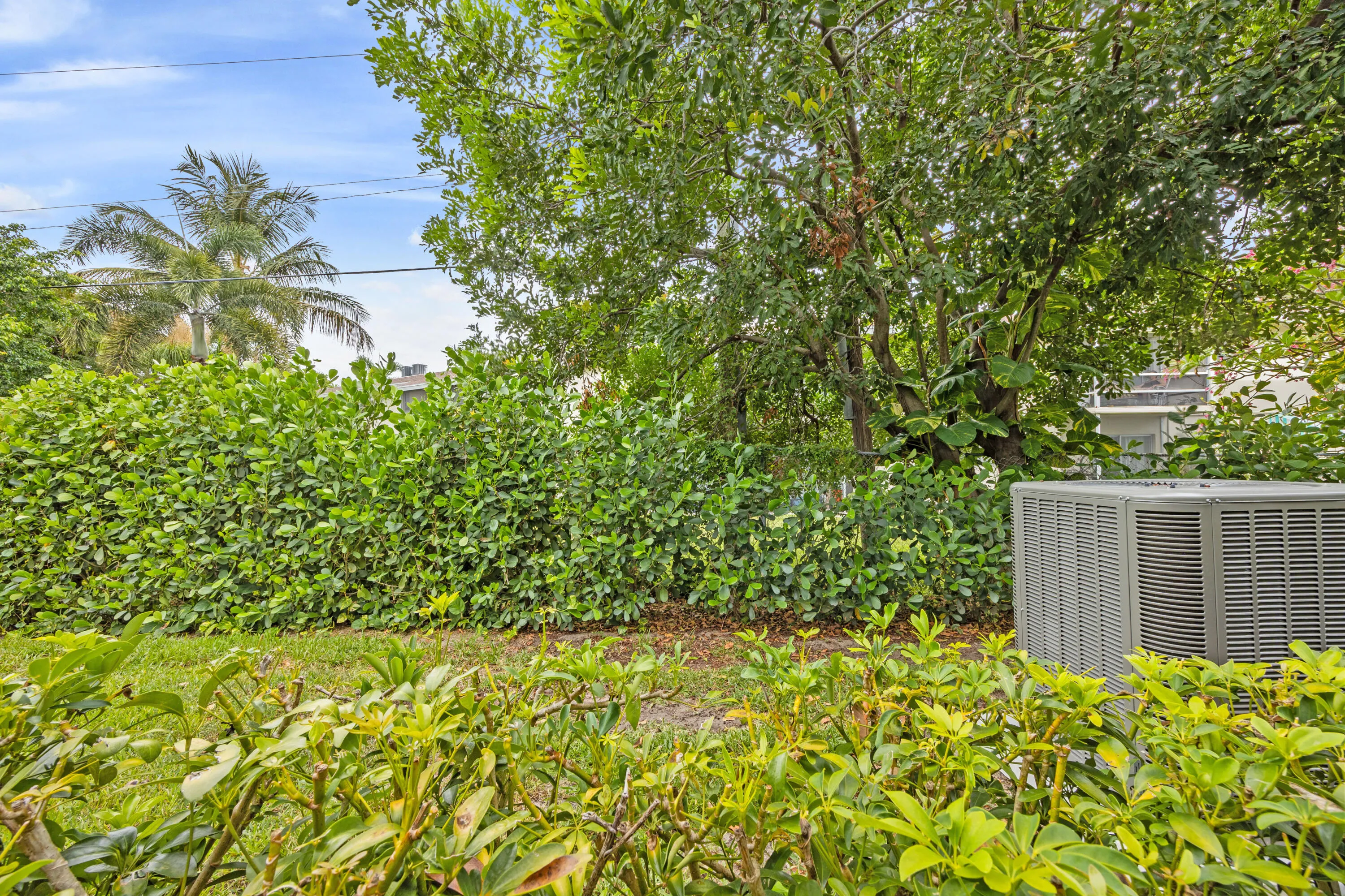 Private Back Area