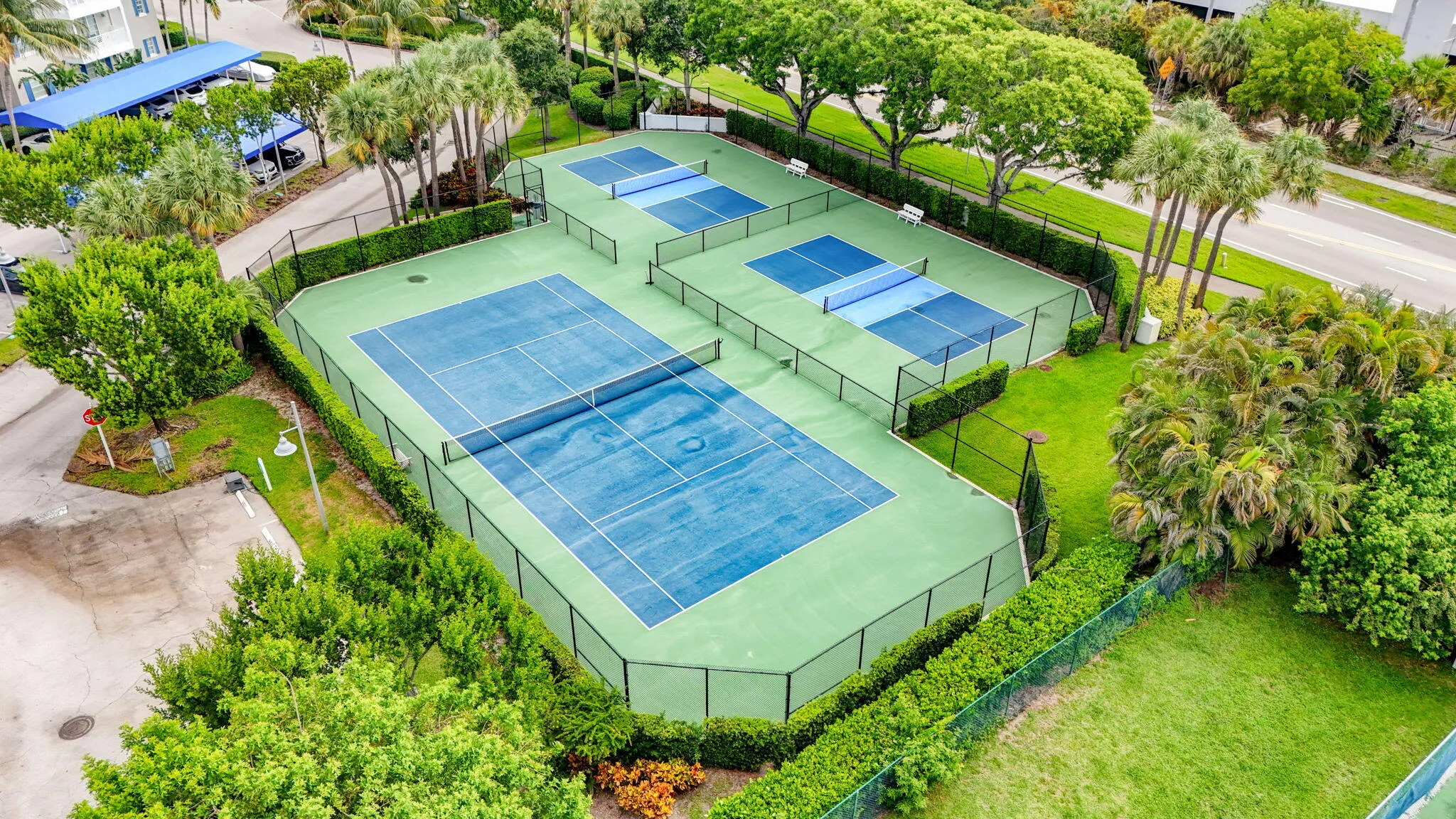 Pickleball - tennis