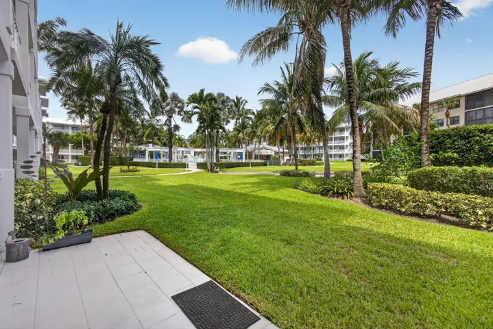 Patio View