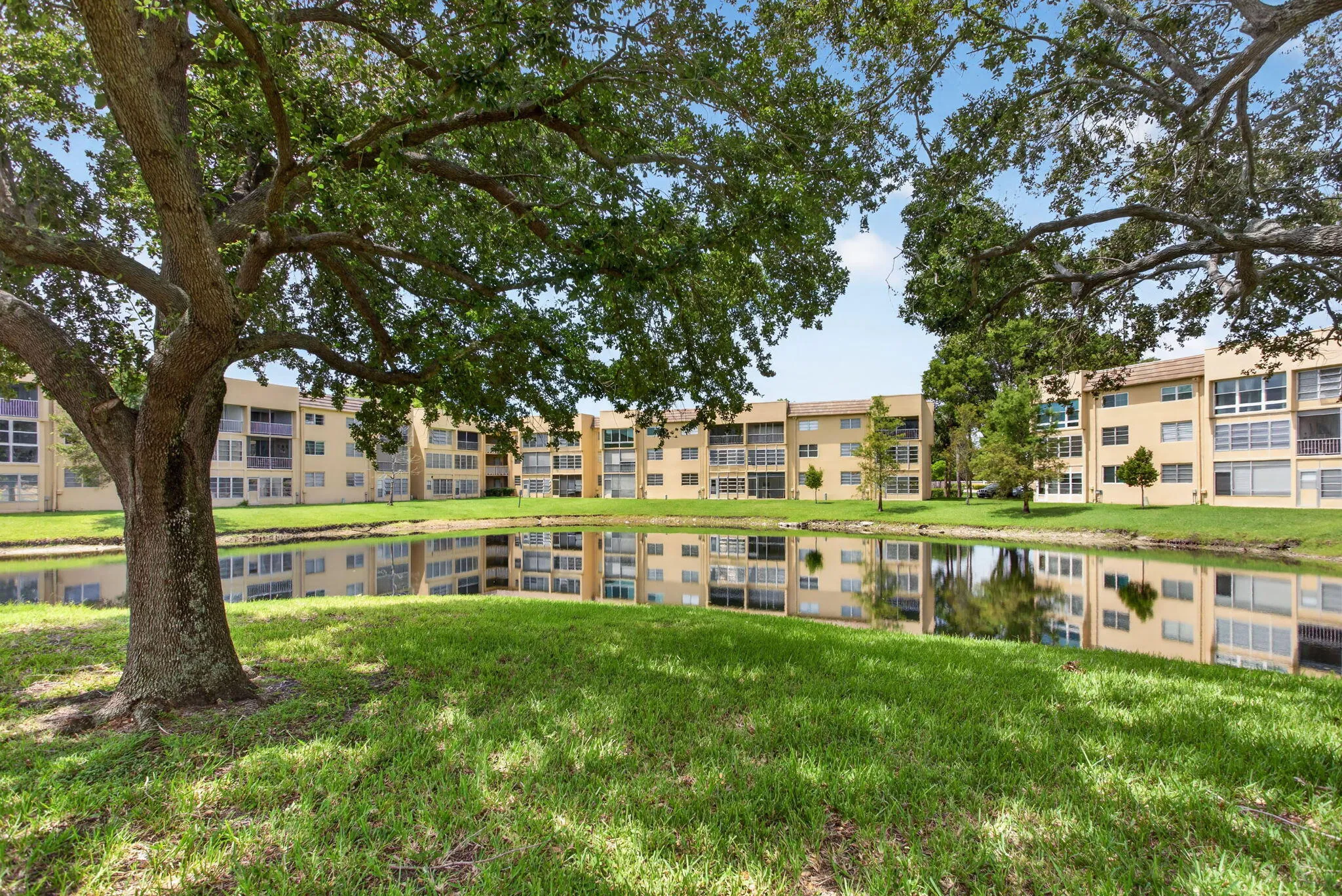 3-web-or-mls-6350-4137
