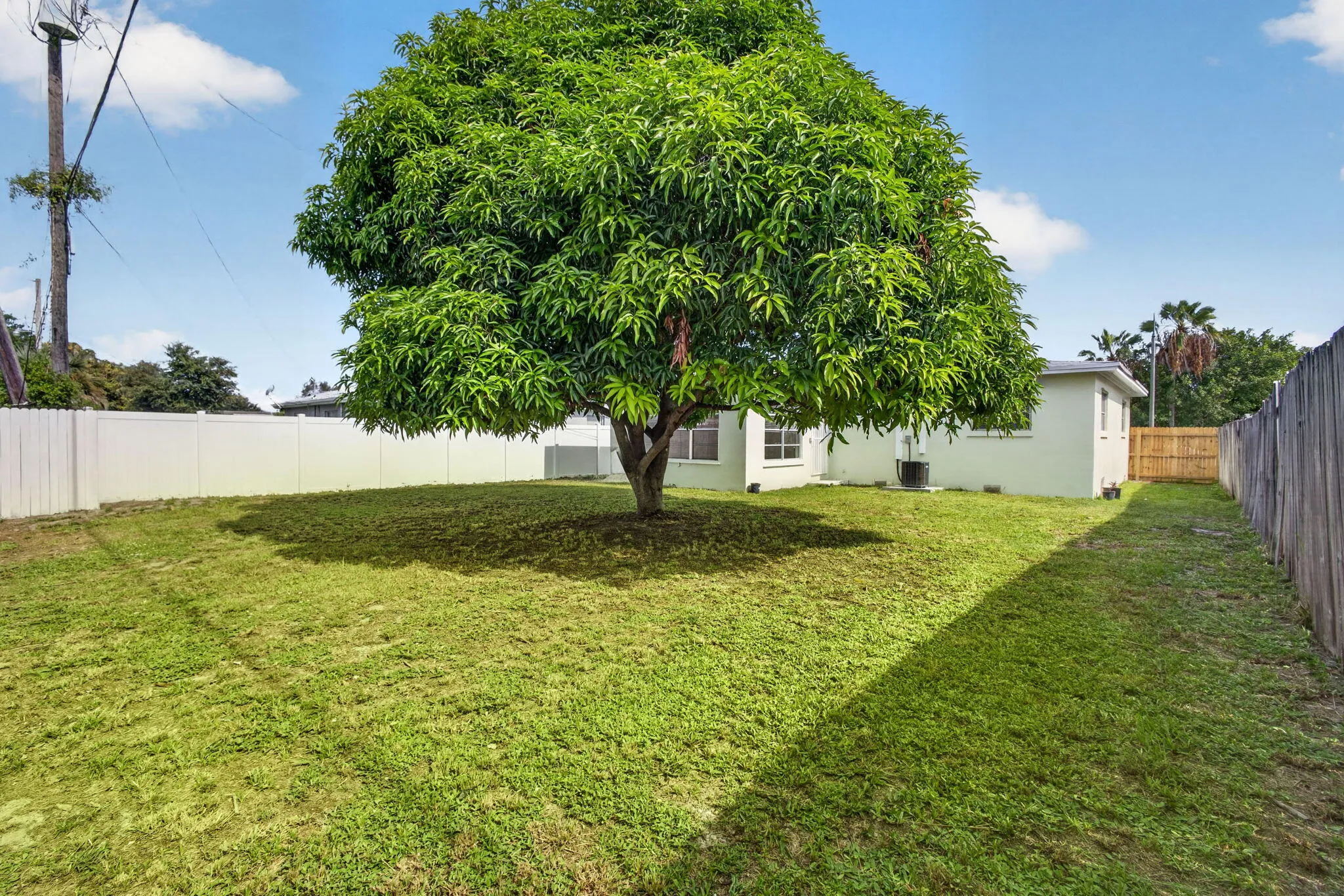 34-web-or-mls-5D1A0971