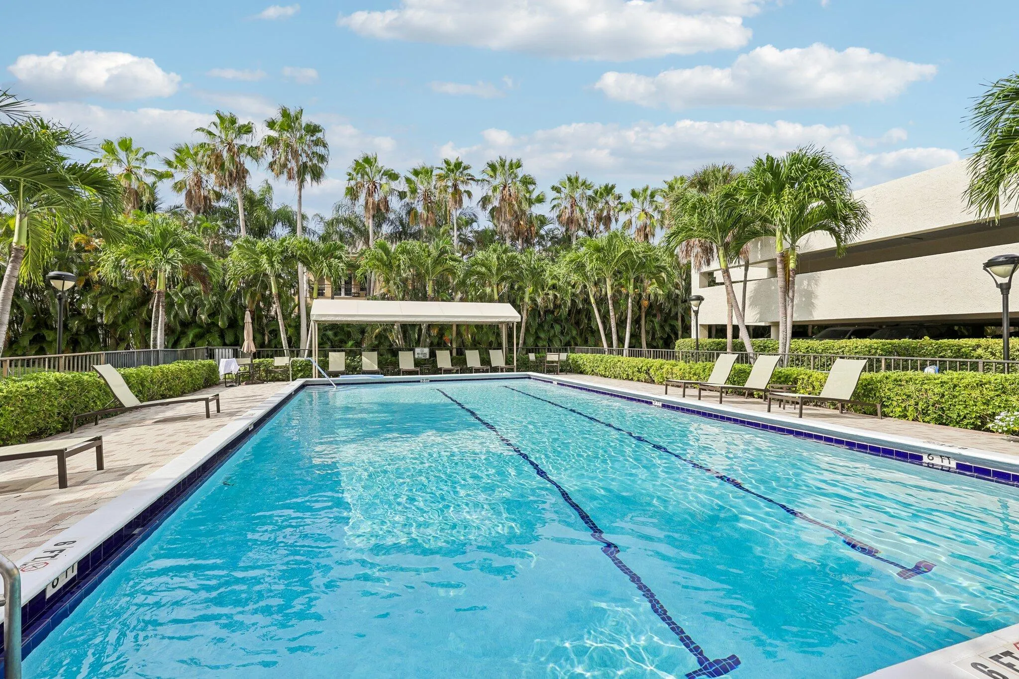Swimming Pool 1