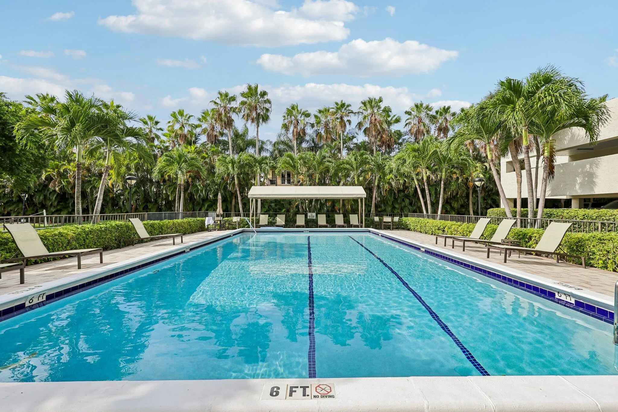 Swimming Pool 1