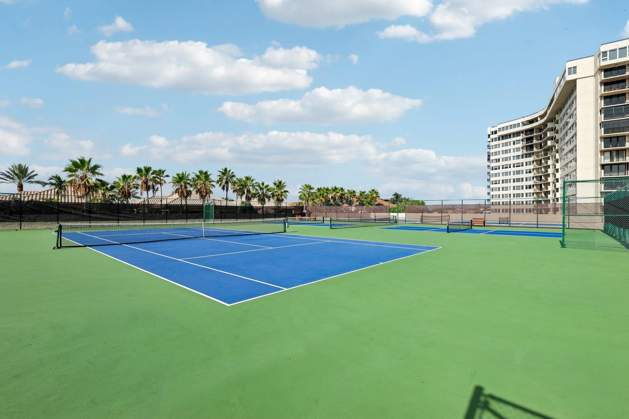 Tennis and Pickleball Areas