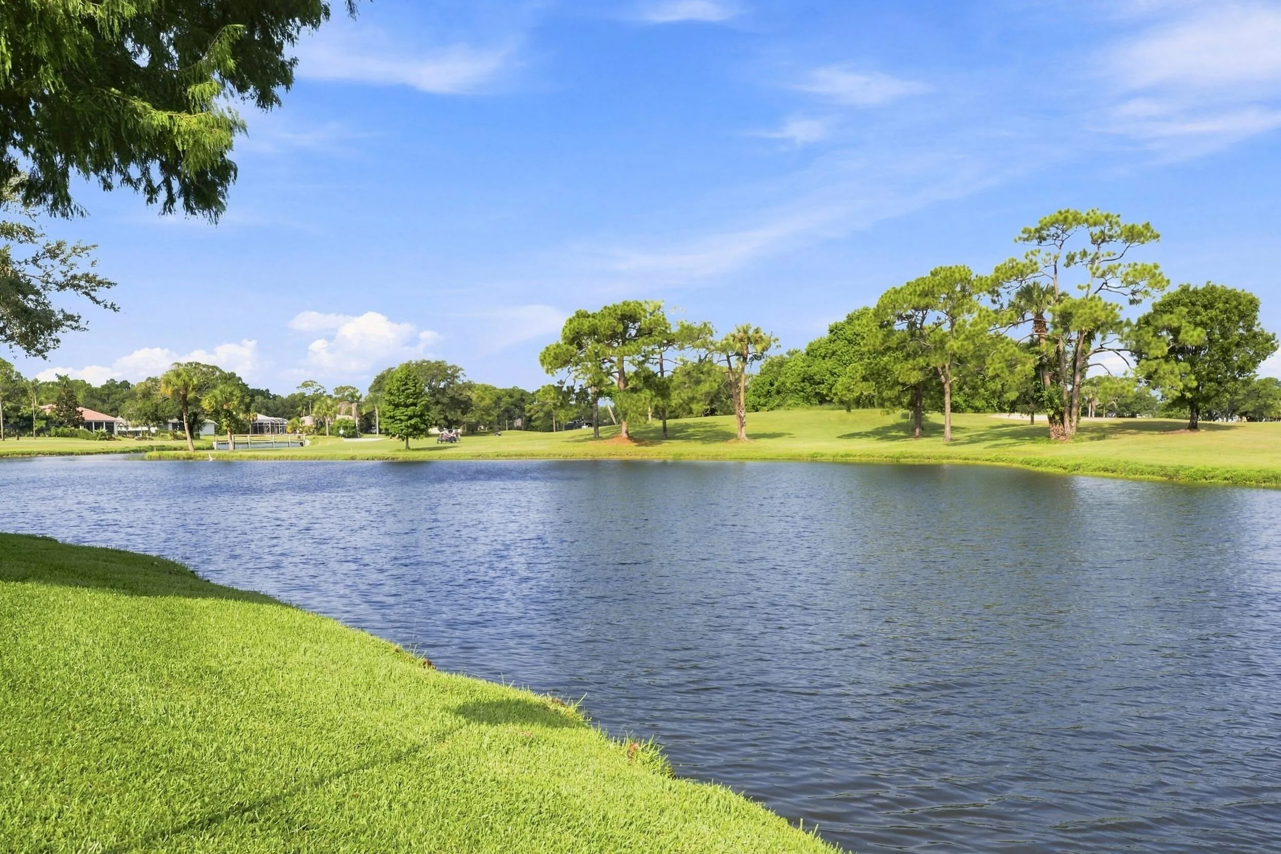 Property photo 48